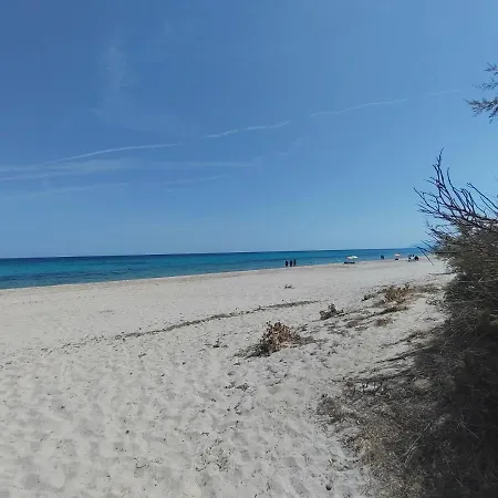 Casa de Férias Berchida Capo Comino