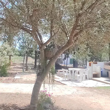 Berchida